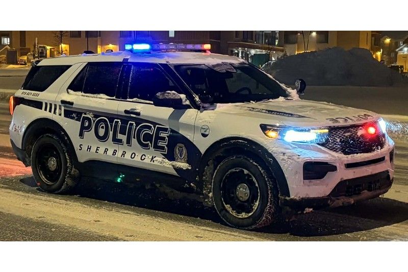 Négligence envers un animal : une femme arrêtée à Sherbrooke, recherchée sous cinq mandats